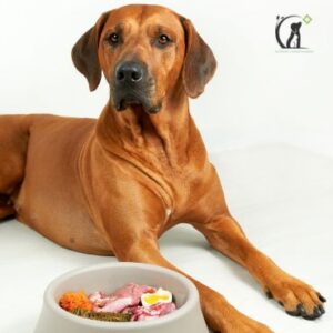 Nutri-Pets Zen